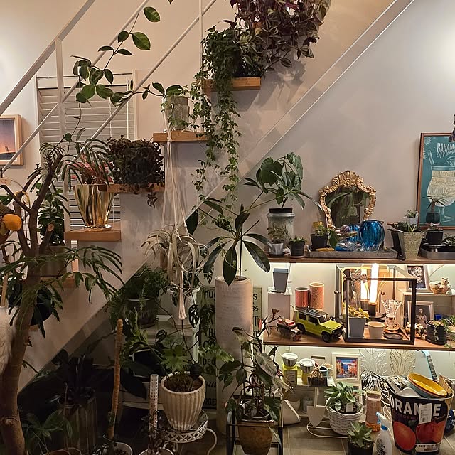 nonbiri_house_さんの実例写真