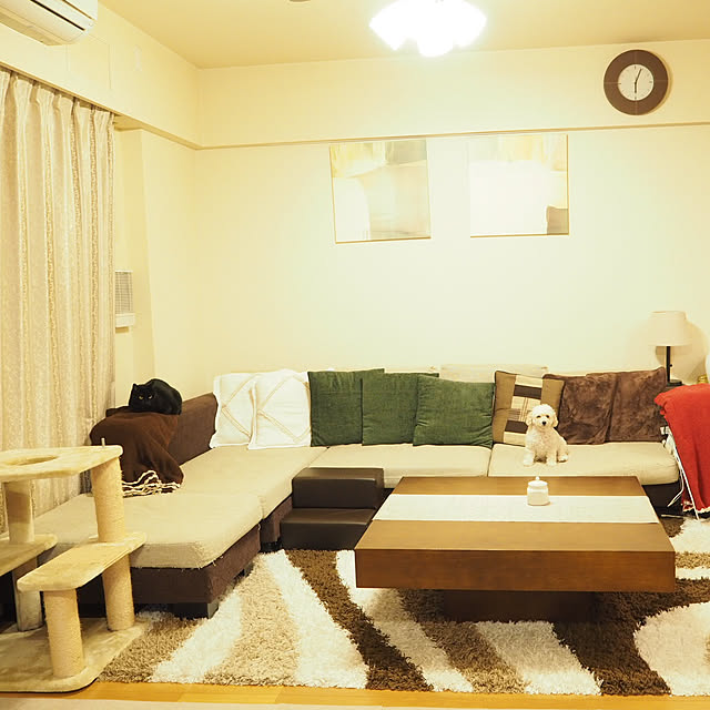 ki-chanさんの実例写真