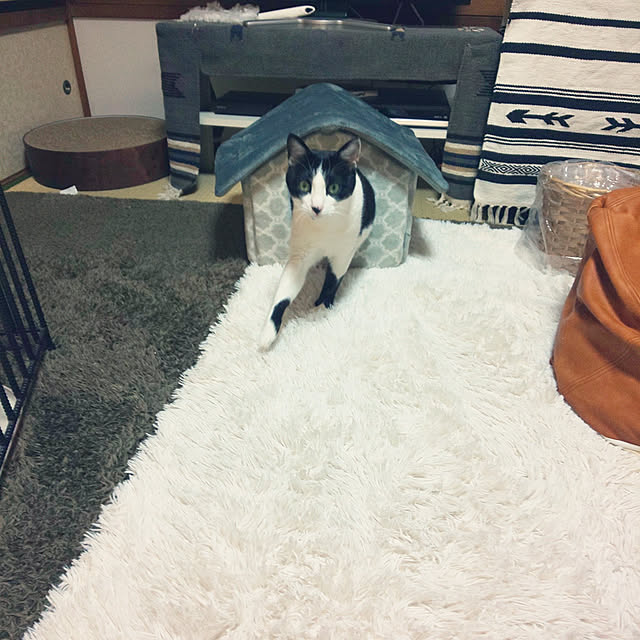 oseroさんの実例写真
