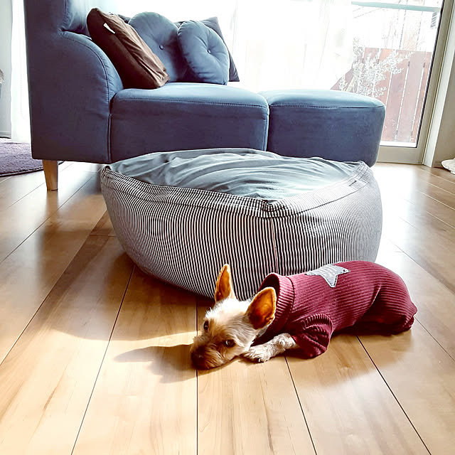soaさんの実例写真