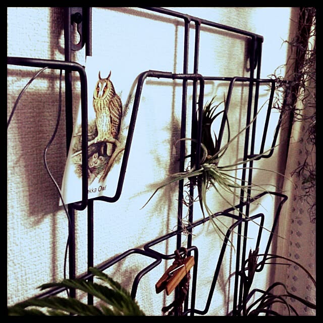 usukoさんの実例写真