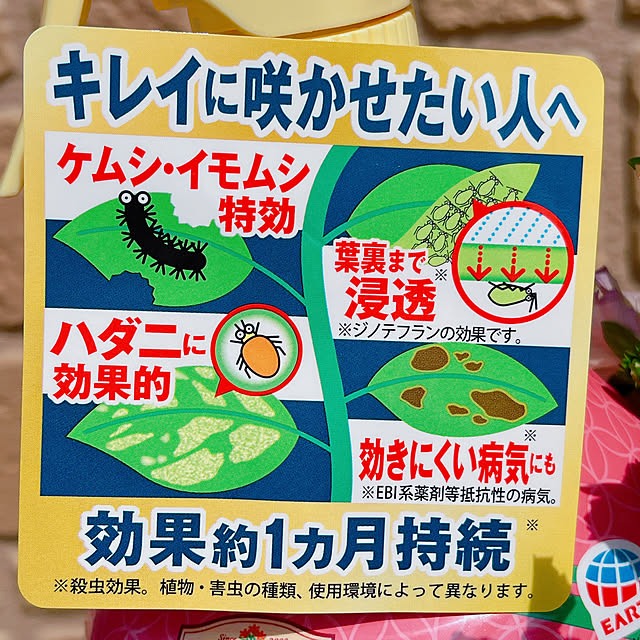 moolさんの部屋