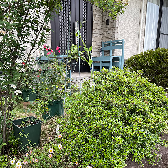 natsumiさんの部屋