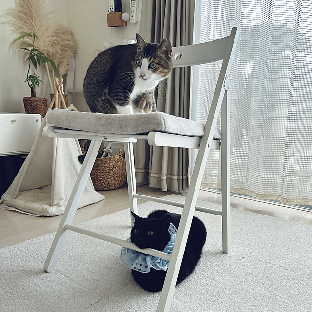nekomiさんの実例写真