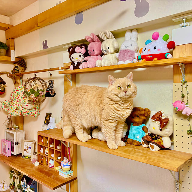 naokoさんの部屋