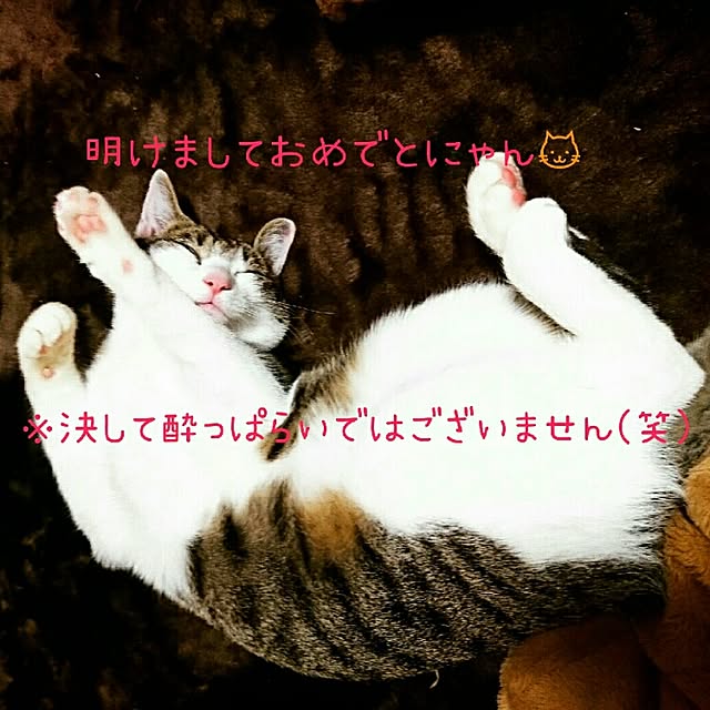 kiraさんの実例写真