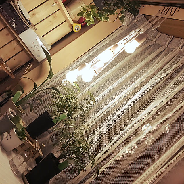 kotamomさんの実例写真