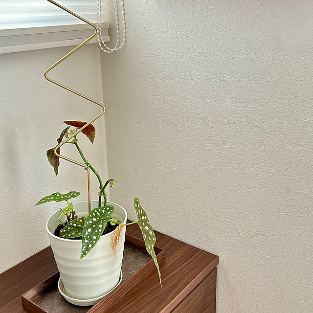 ai.saさんの部屋