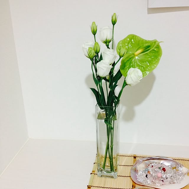 玄関/入り口/植物のインテリア実例 - 2013-10-08 21:21:37