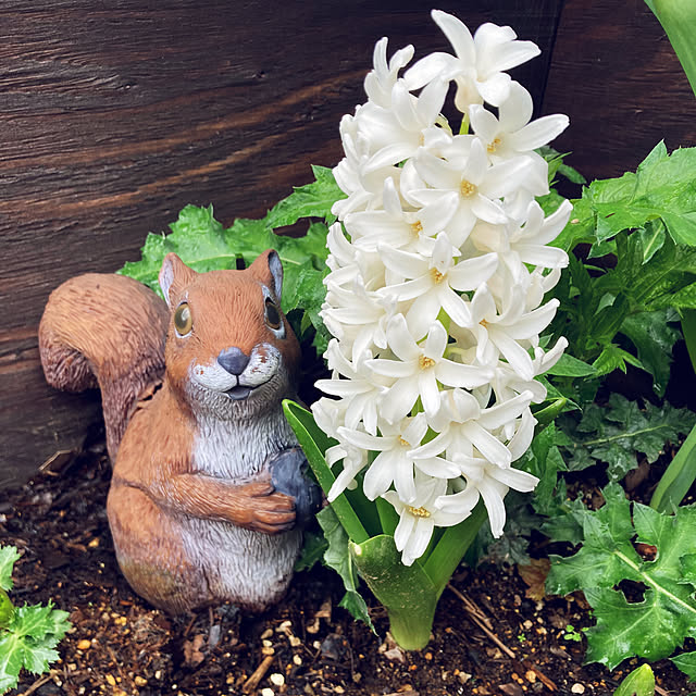 usako66さんの実例写真