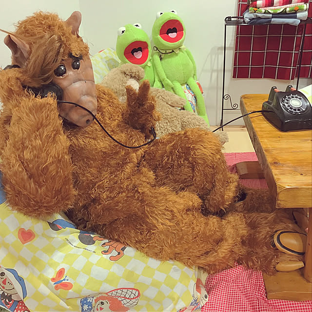 TOROさんの実例写真