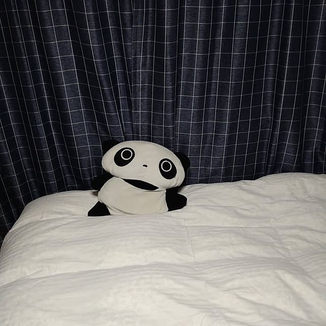 ameamekaasanさんの実例写真