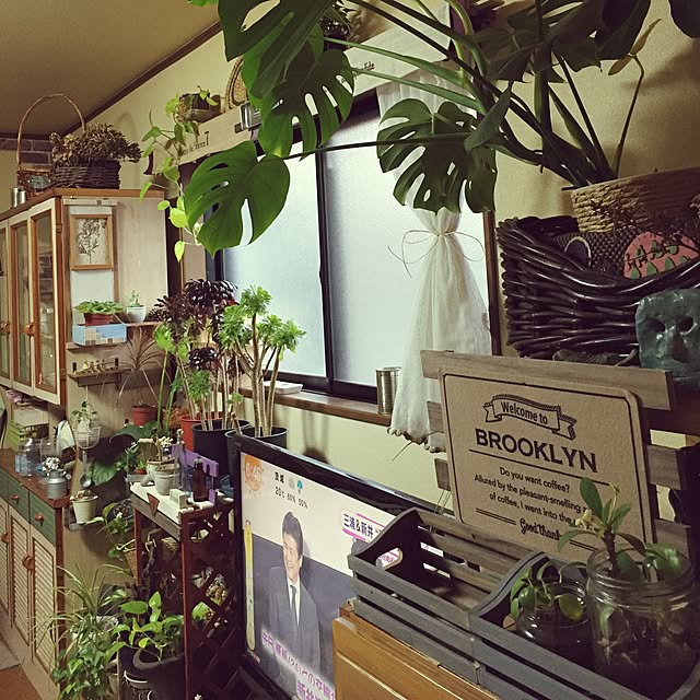 Norikoさんの実例写真