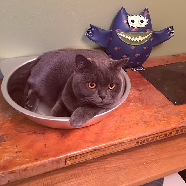 Shojiさんの実例写真
