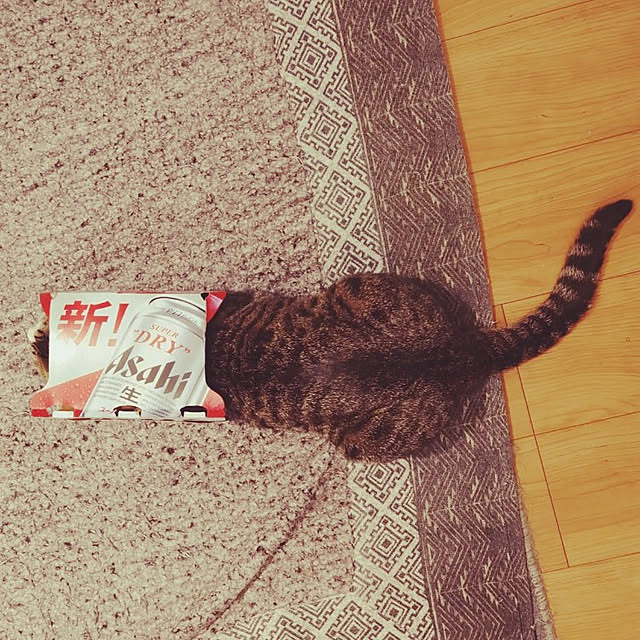 mochicoさんの実例写真