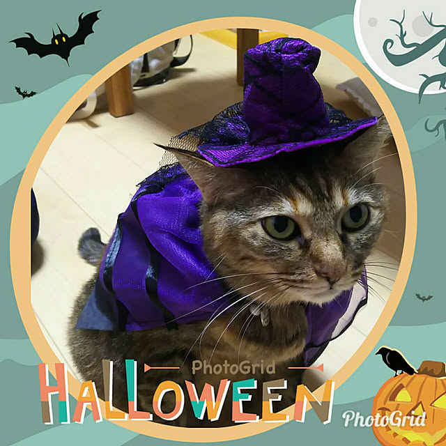 Yukoさんの実例写真