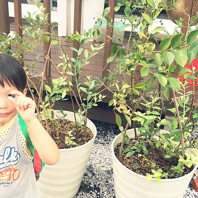caplico71さんの実例写真
