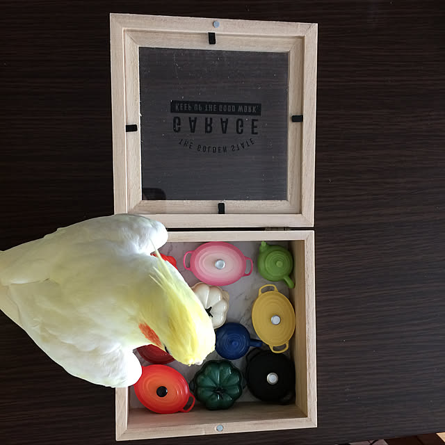 toratanさんの実例写真