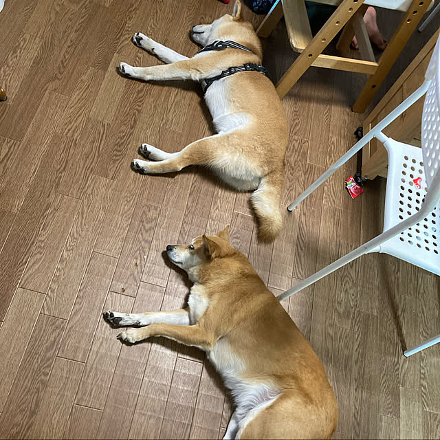 luckyさんの実例写真