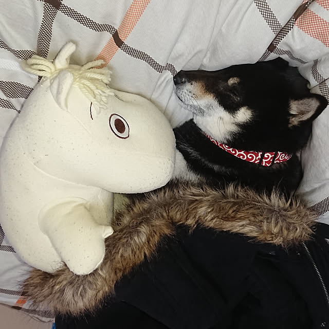 tsutawarimasuさんの実例写真