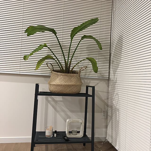ririnaさんの実例写真