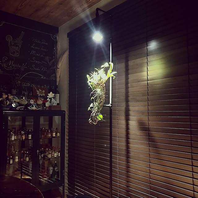 rimoleoさんの部屋