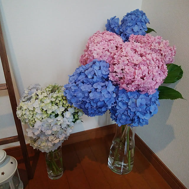 miho-haluさんの実例写真