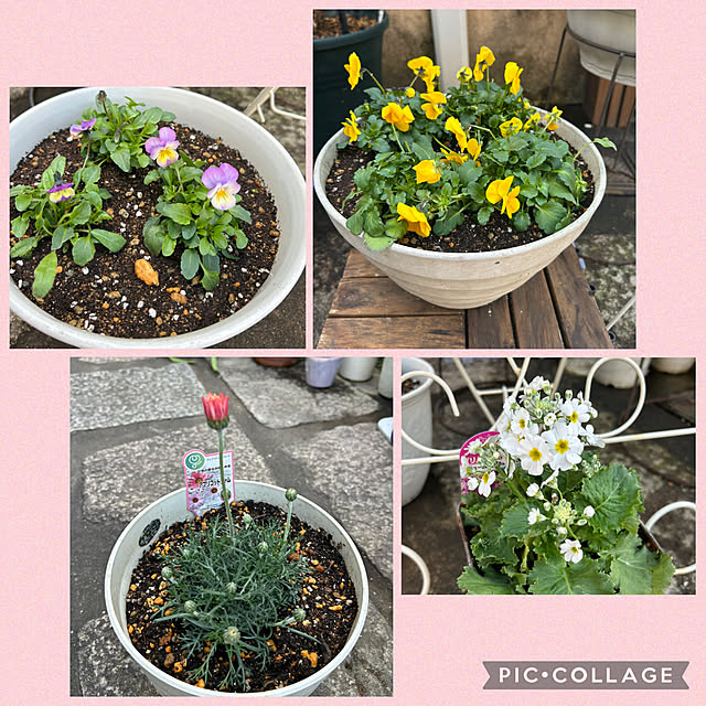 fumikoiさんの部屋