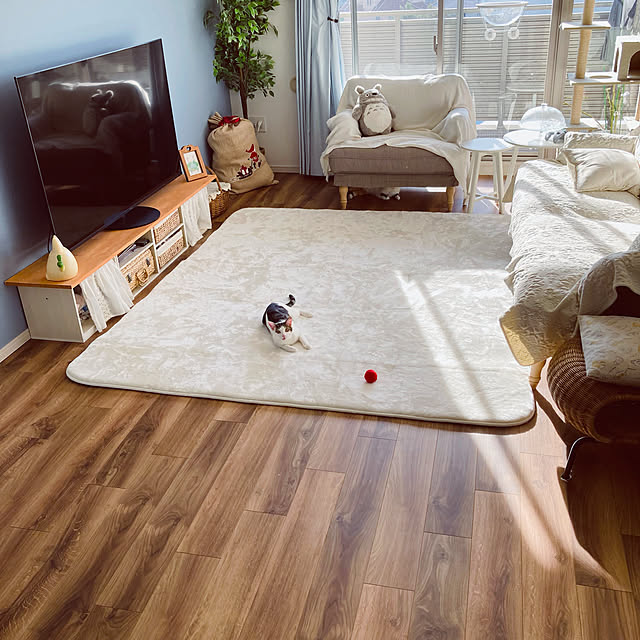 Lily0915さんの実例写真