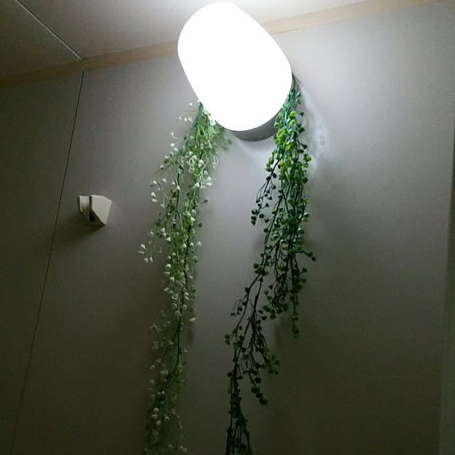 catherineさんの実例写真
