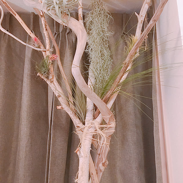 Kurehaさんの実例写真