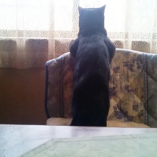 tomopさんの実例写真