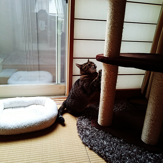 lilyさんの実例写真