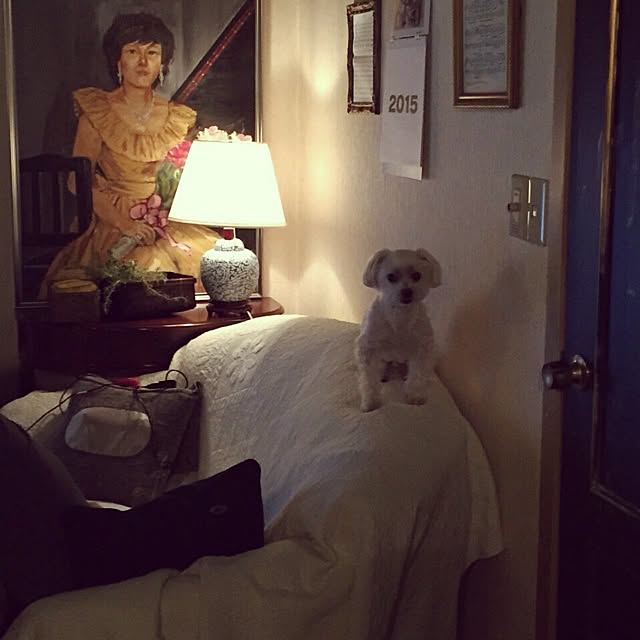 chiiico.yuko.さんの実例写真