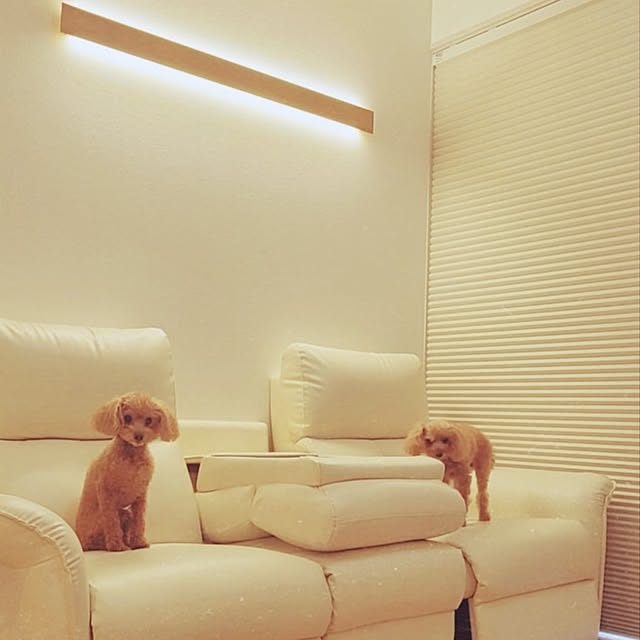 yumi.grandsaisonさんの部屋