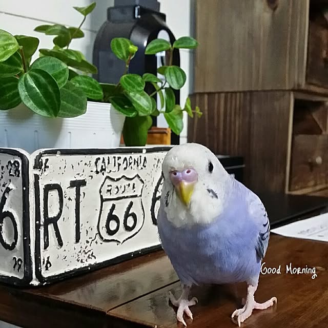 karinさんの実例写真