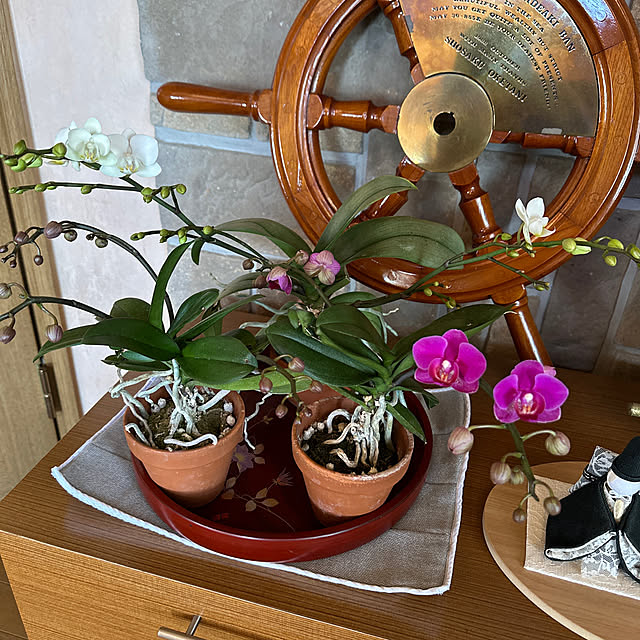 mama_sanさんの実例写真