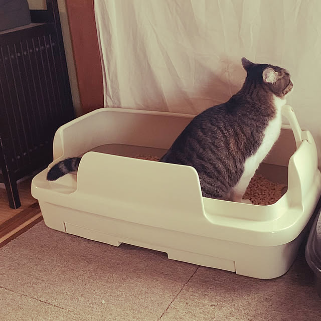 nanohanaさんの実例写真