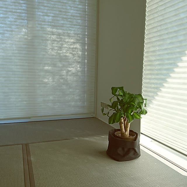 hiroさんの実例写真