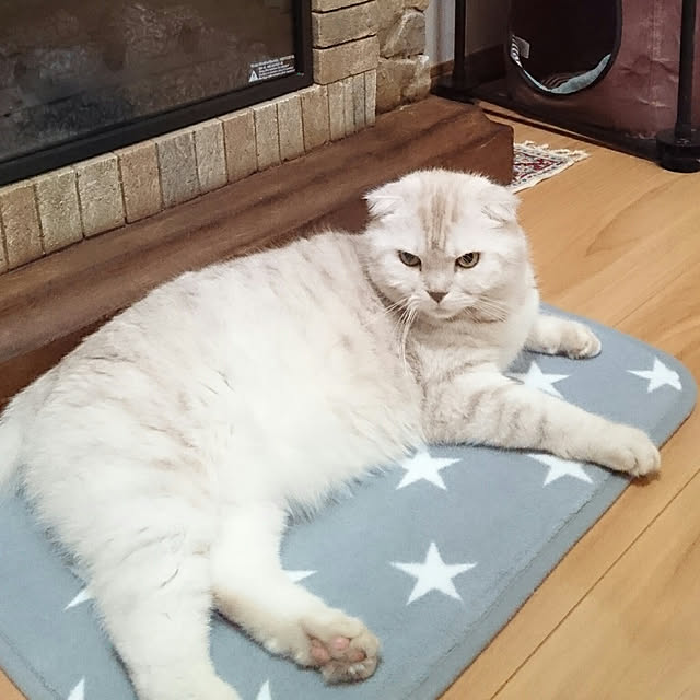 hanahanaさんの実例写真