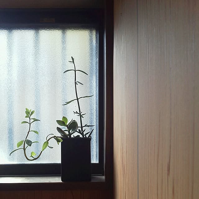 anri38さんの実例写真