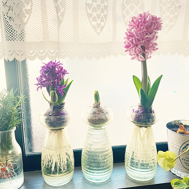 raggedy-aさんの実例写真