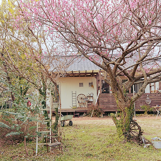 satomiさんの実例写真