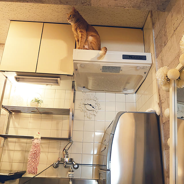 asuminさんの実例写真