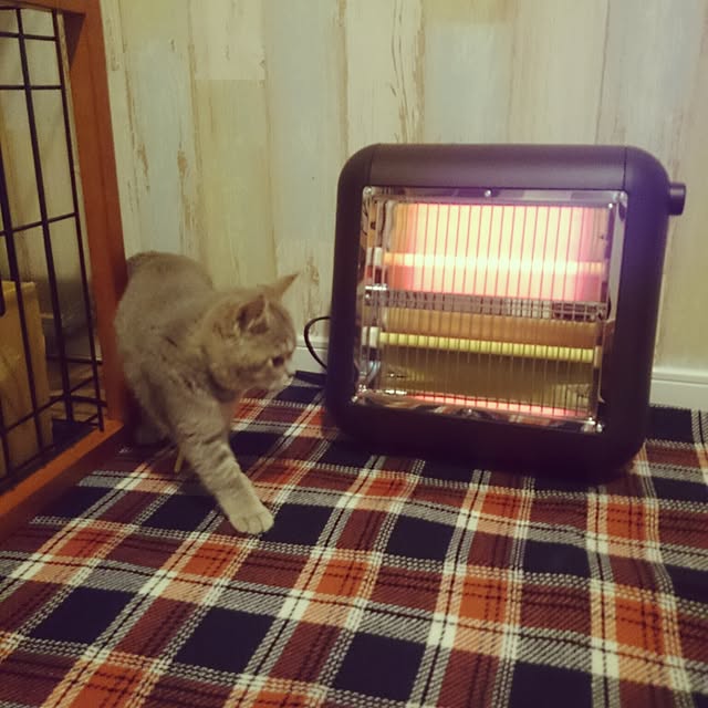 tamaさんの実例写真
