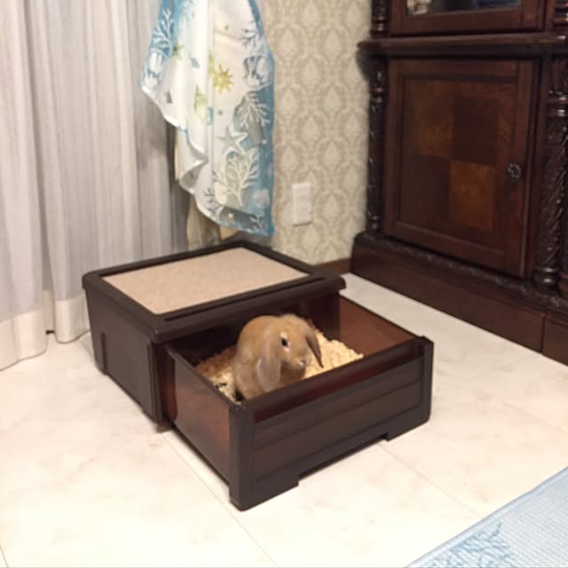 nonさんの実例写真