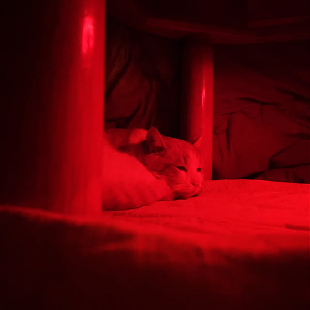 happyさんの実例写真
