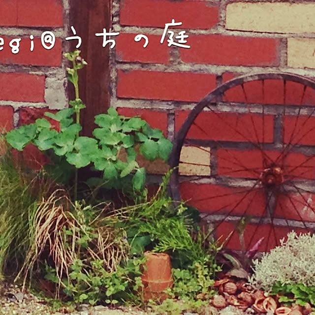 実例写真