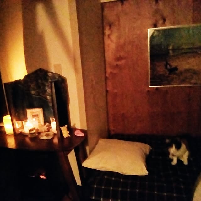 catloveさんの部屋