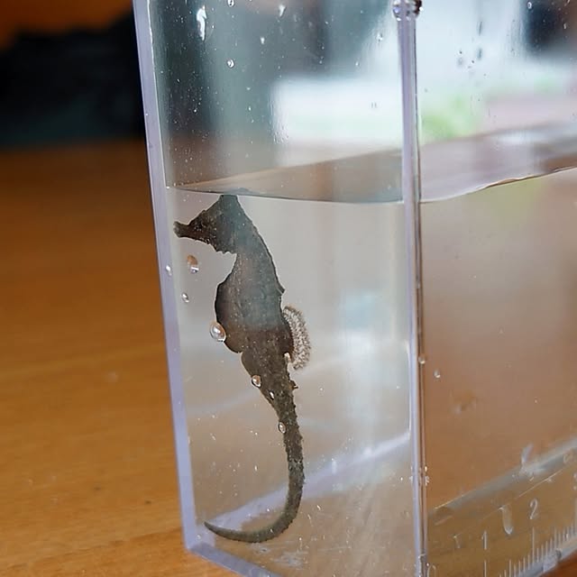 ToReTaRiさんの実例写真